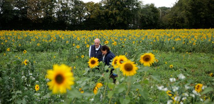 En chemin vers l’agroécologie… Des agriculteurs engagés témoignent