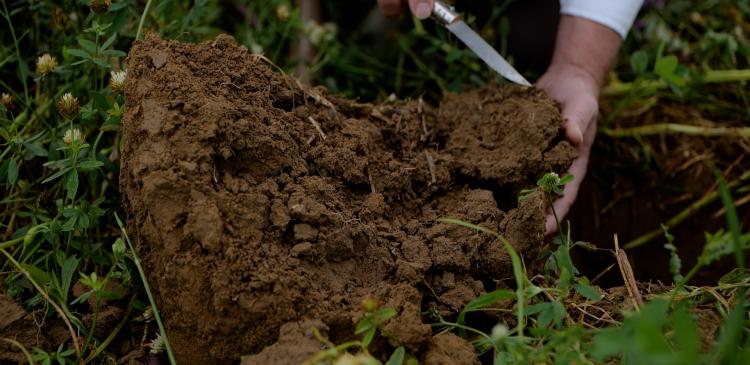 Réussir la transition vers l’agroécologie : les clés pour une agriculture durable