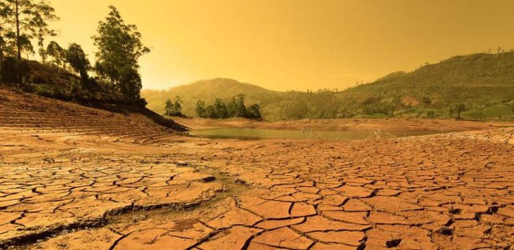 Climat, biodiversité et agriculture : enjeux et solutions