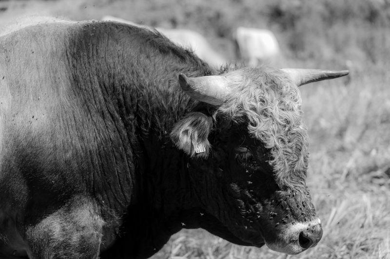texte alternatif