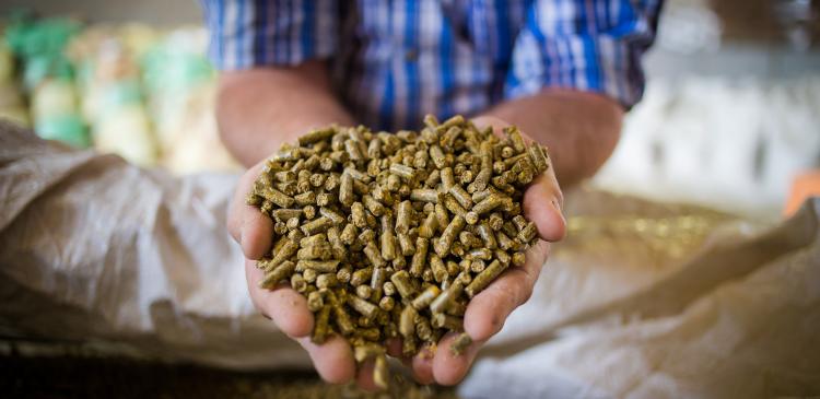 "Minéraux et vitamines : la clé d’un troupeau en pleine santé"