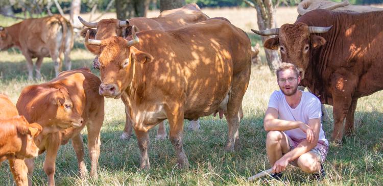 Animaux, Humains, Environnement : renouer le lien avec One Welfare