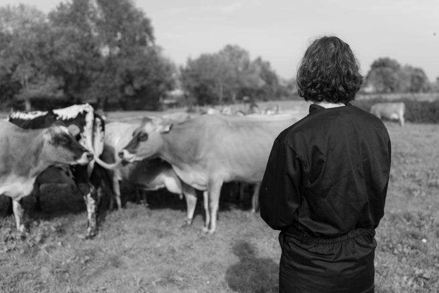 texte alternatif