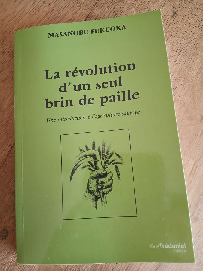 texte alternatif